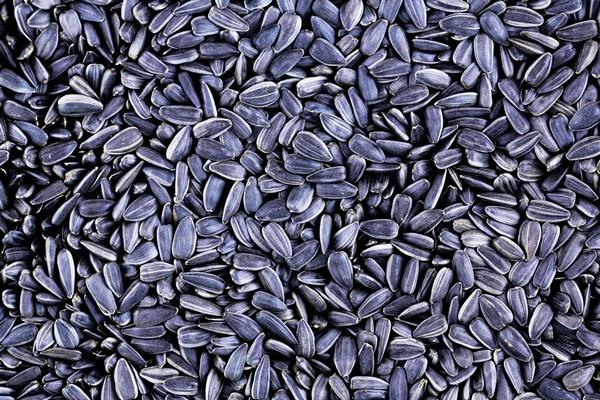 Which Country Produces the Most Sunflower seeds in the World?